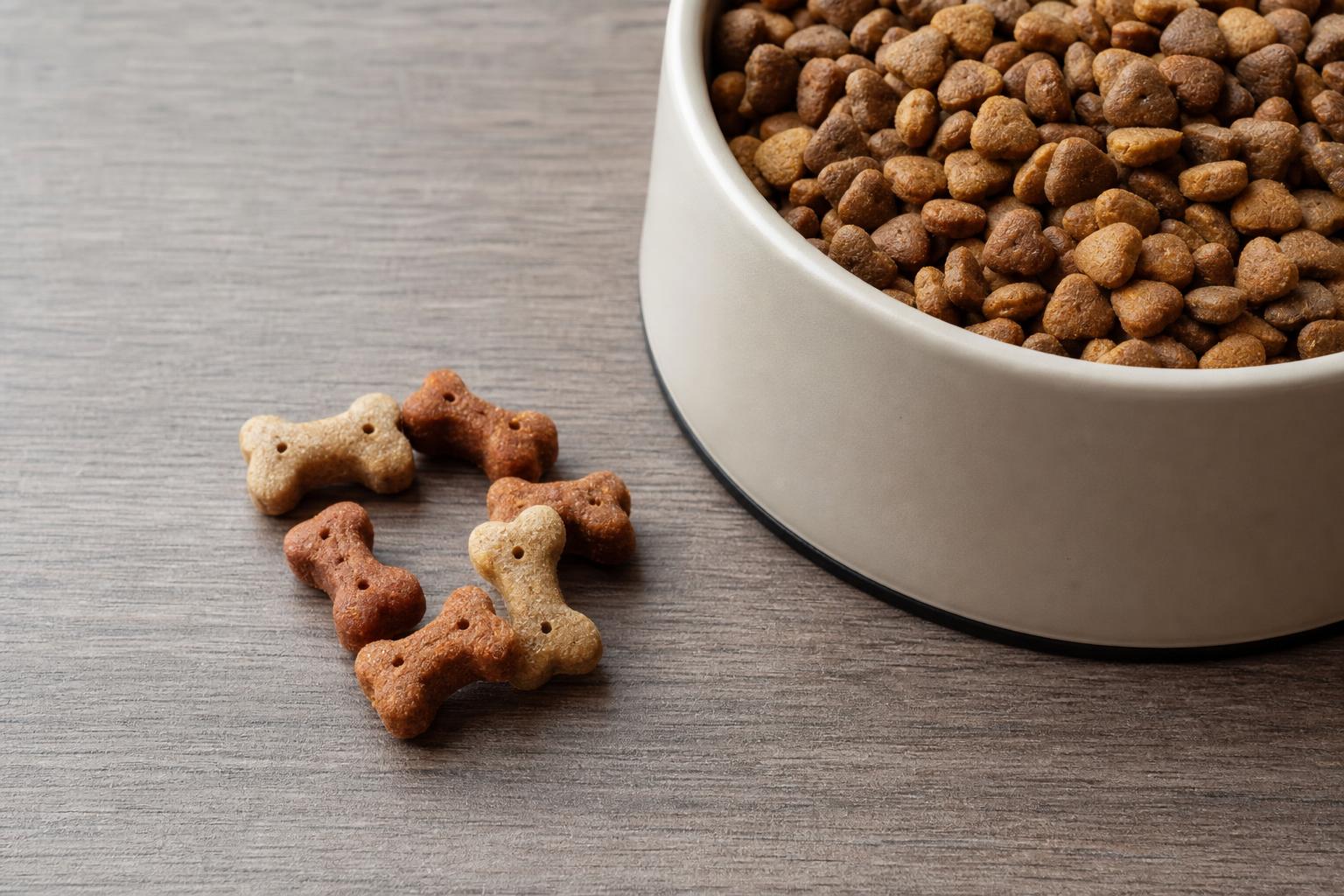 사료 그릇 옆의 적정량 간식